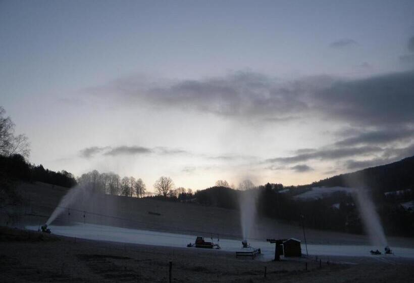 膳宿费 Penzion A Apartmány Skipark Hraběšice