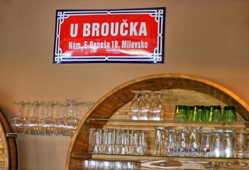 펜션 Penzion U Broucka