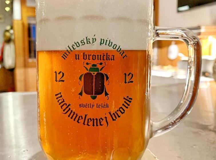 펜션 Penzion U Broucka