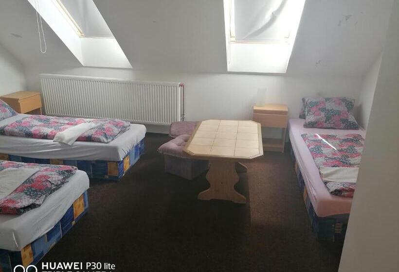 펜션 Penzion U Hladů