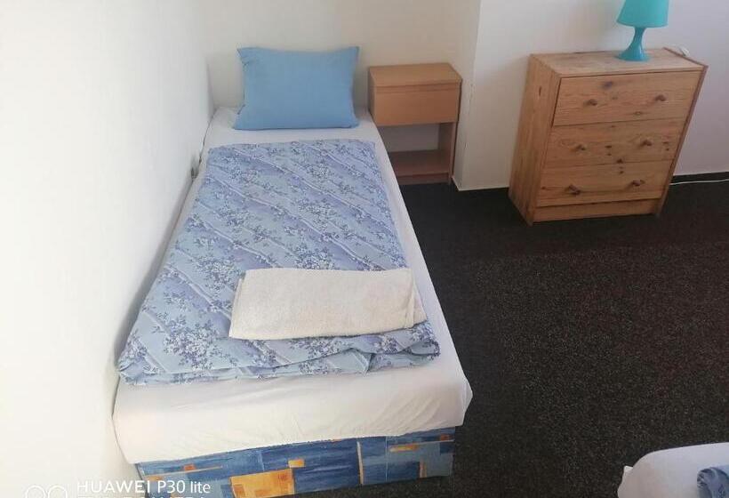 펜션 Penzion U Hladů