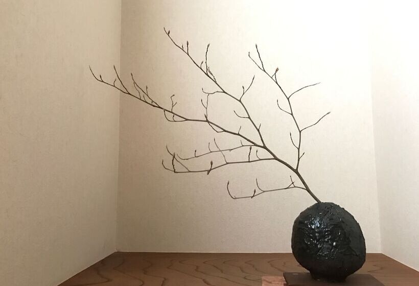 بنسيون Sayama Aesthetics School