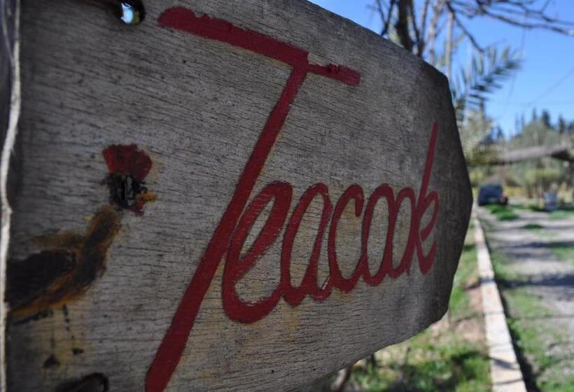 پانسیون Teacook Marrakech