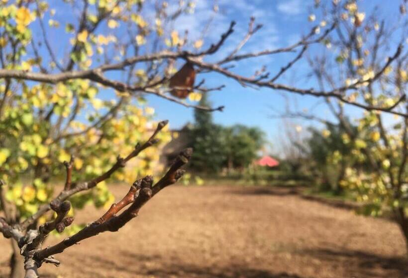 پانسیون Teacook Marrakech