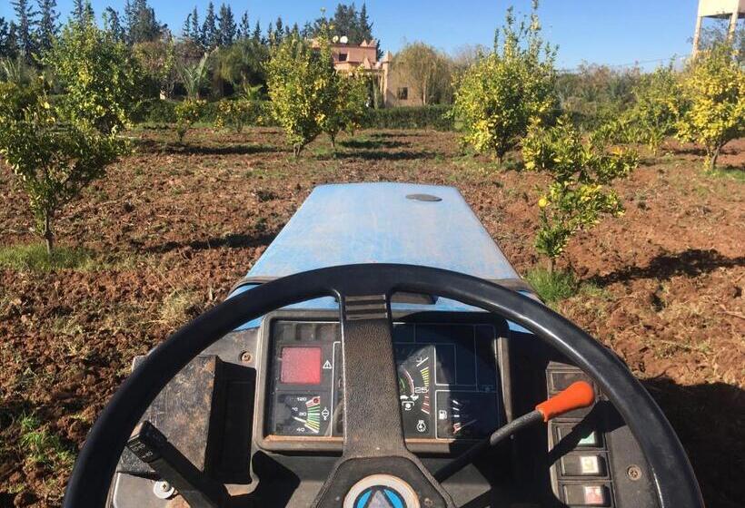 پانسیون Teacook Marrakech