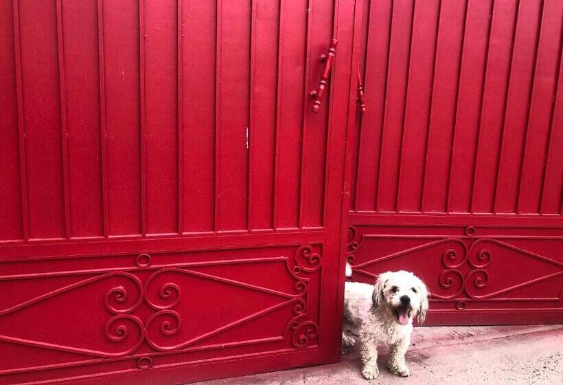 پانسیون Teacook Marrakech