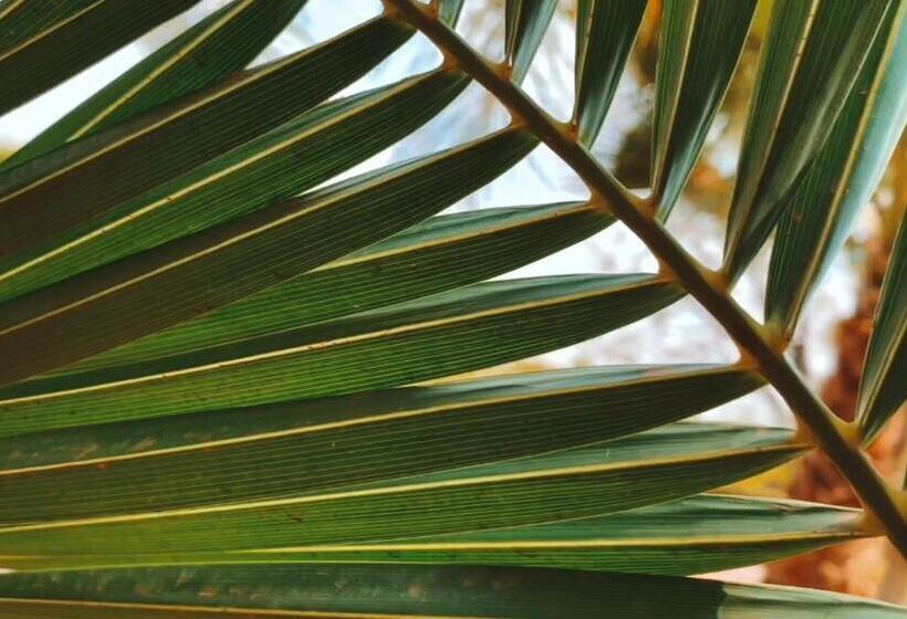 پانسیون Teacook Marrakech