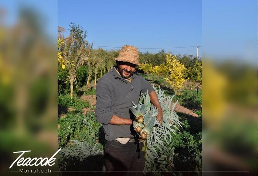 پانسیون Teacook Marrakech