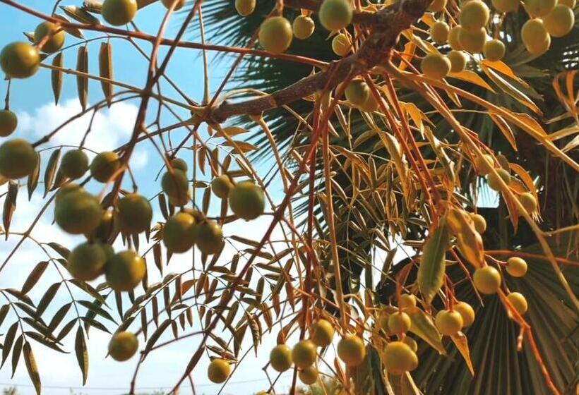 پانسیون Teacook Marrakech