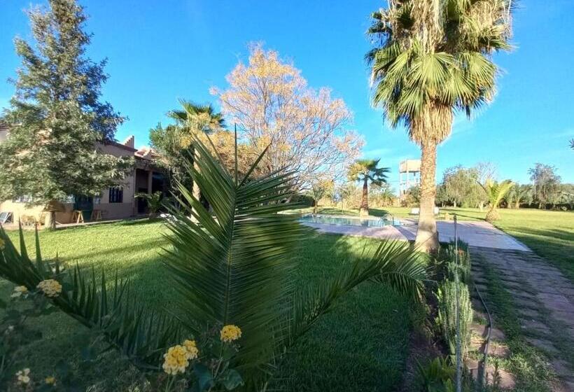 پانسیون Teacook Marrakech