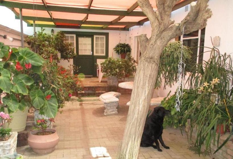 ペンション Van Rhyn Guest House