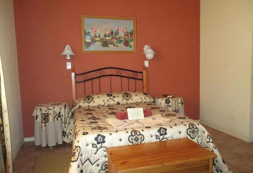 ペンション Van Rhyn Guest House