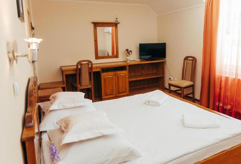 Пансион Vila Carmen Camere De închiriat 3 Stele