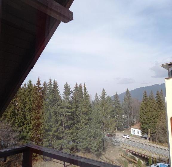 Pensiunea Ialomicioara