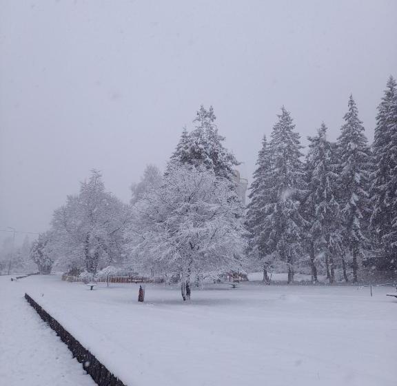 Pensiunea Ialomicioara