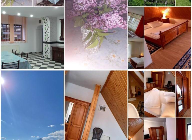 Pensiunea Ialomicioara