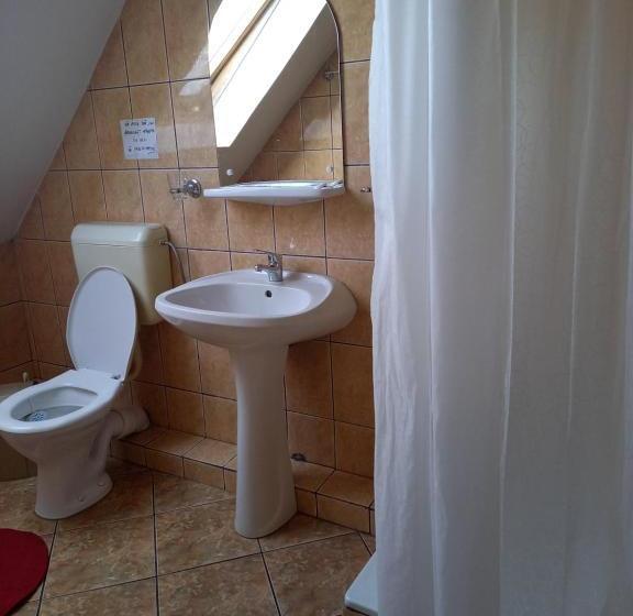 Pensiunea Ialomicioara