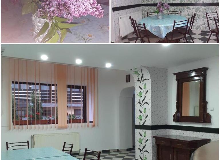 Pensiunea Ialomicioara