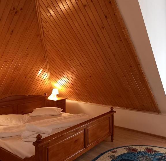 Pensiunea Ialomicioara