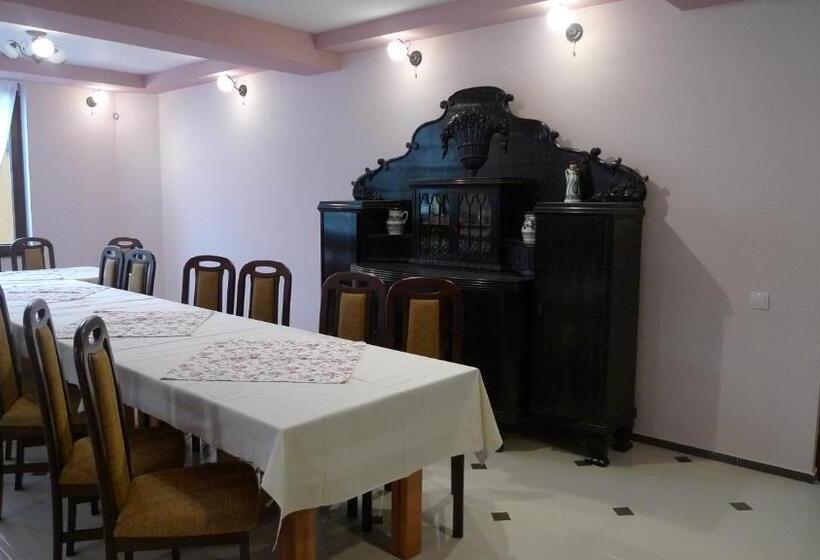 Pensiunea Mihaiu Sasului