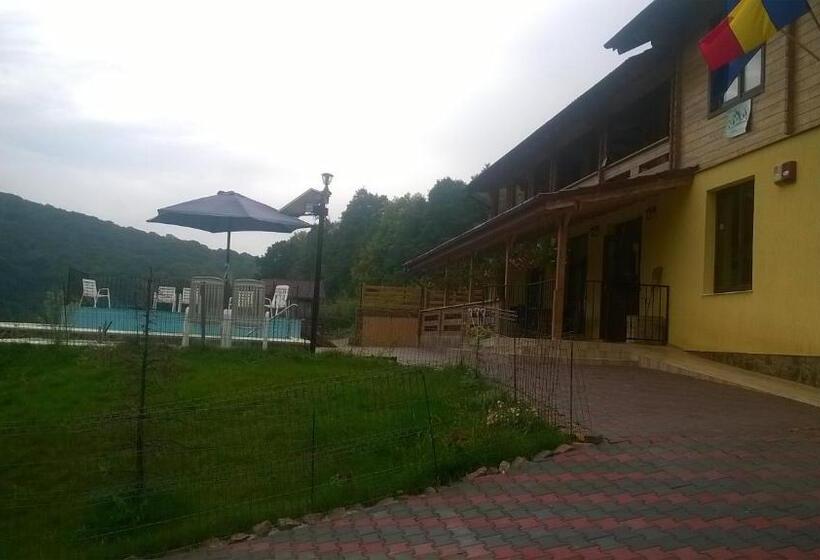 Pensiunea Mihaiu Sasului