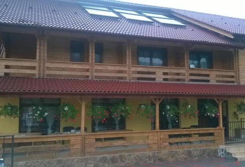 Pensiunea Mihaiu Sasului