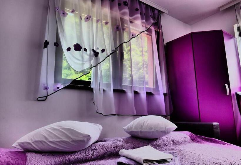 Pensiunea Roua Florilor