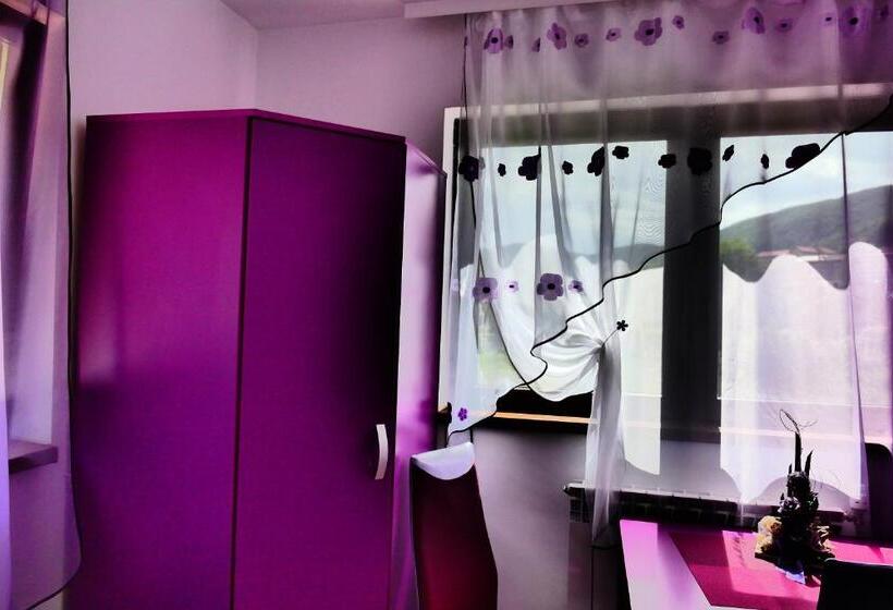 Pensiunea Roua Florilor