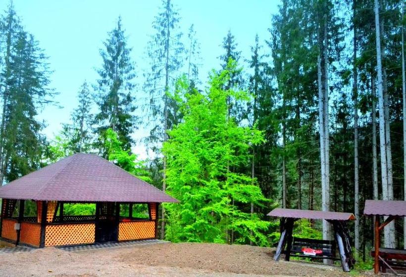 Pensiunea Vatra Bucovinei