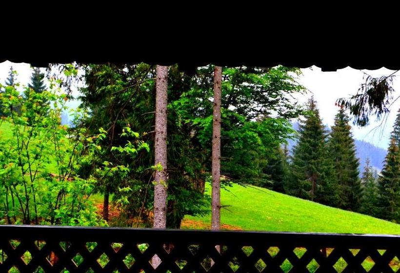 Pensiunea Vatra Bucovinei