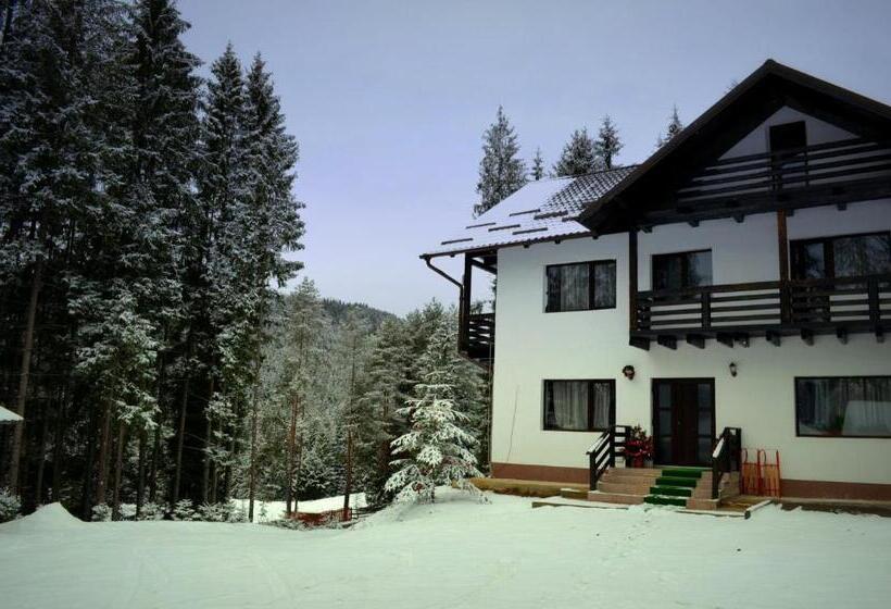 Pensiunea Vatra Bucovinei