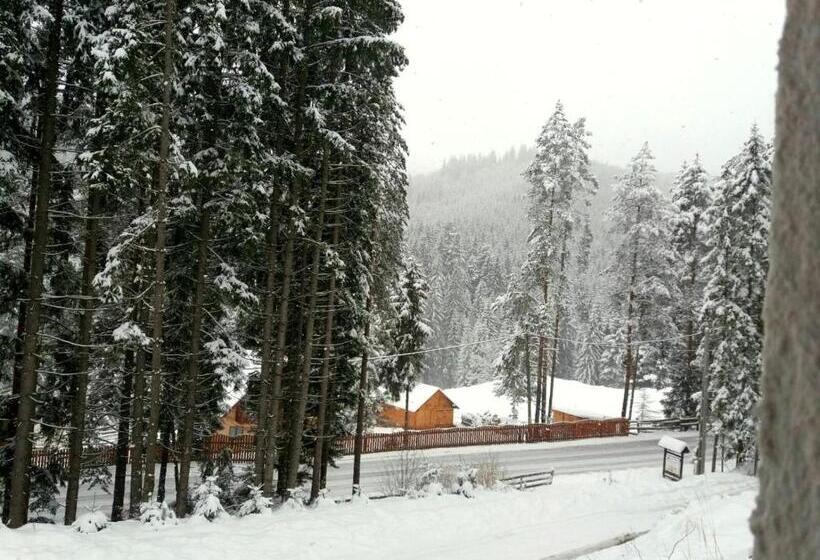 Pensiunea Vatra Bucovinei