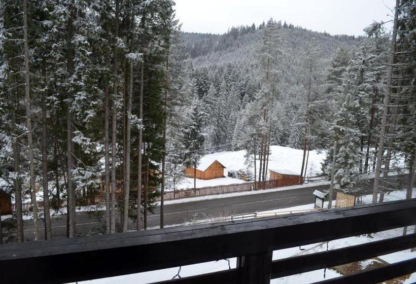 Pensiunea Vatra Bucovinei