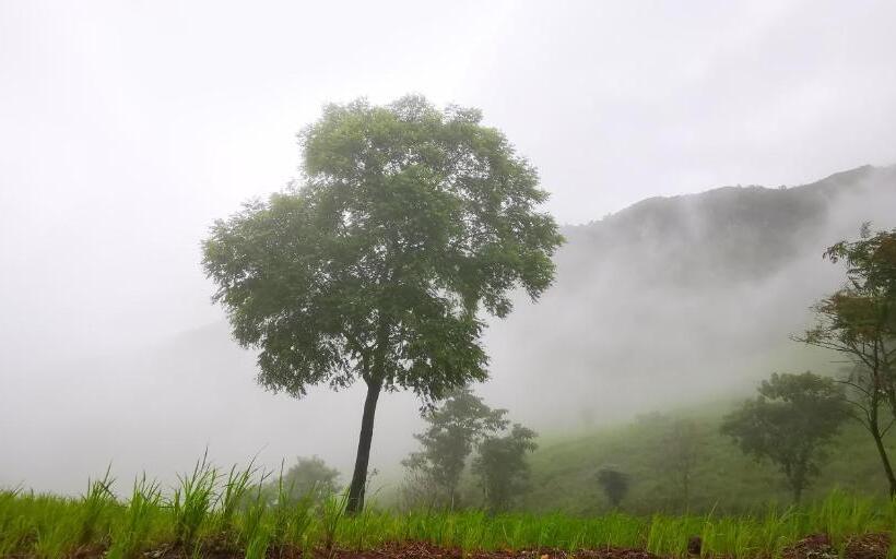 리조트 บ้านเอื้อมดาว เขาค้อ