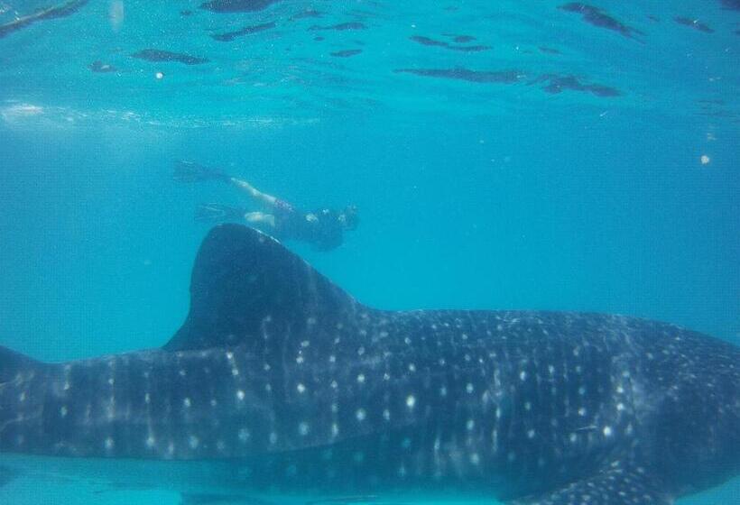 منتجع Butiama Marine Camp