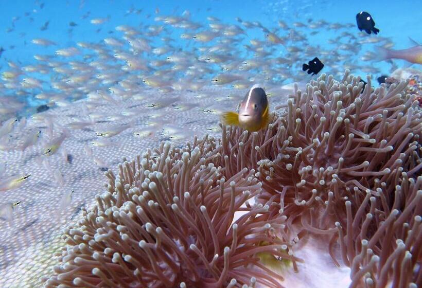 منتجع Butiama Marine Camp