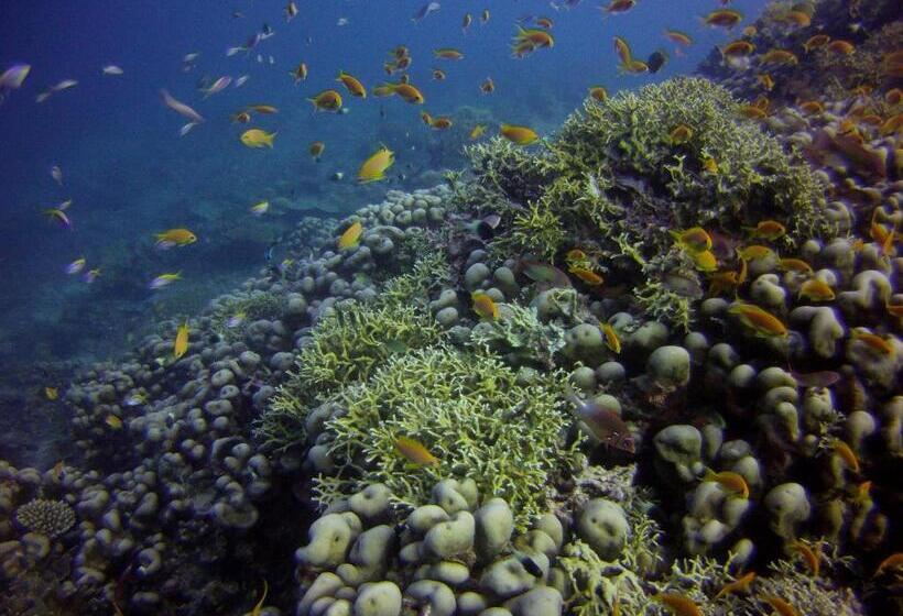 منتجع Butiama Marine Camp