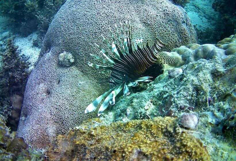 אתר נופש Fumba Beach Lodge