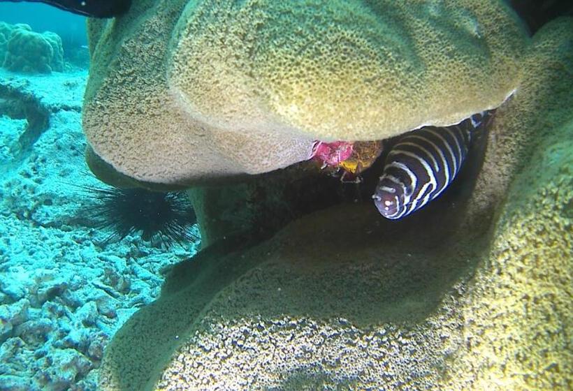 אתר נופש Fumba Beach Lodge