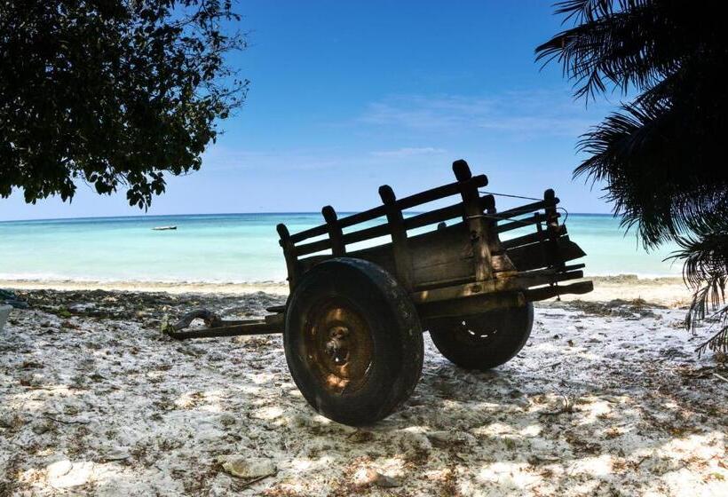 منتجع Gecko Nature Lodge Home Of Swahili Divers The Best Dive Center And Famous Gecko Restaurant