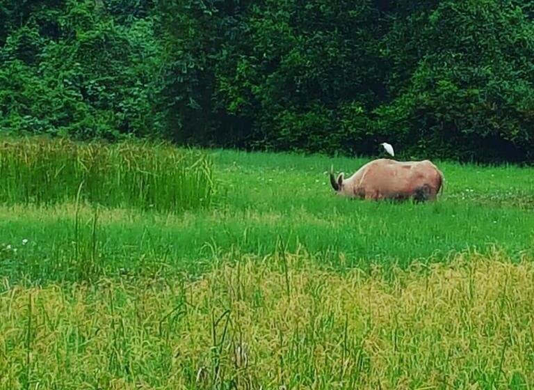 Resort I   Talay Taling Ngam Samui   เขา ป่า นา เล ตลิ่งงาม สมุย