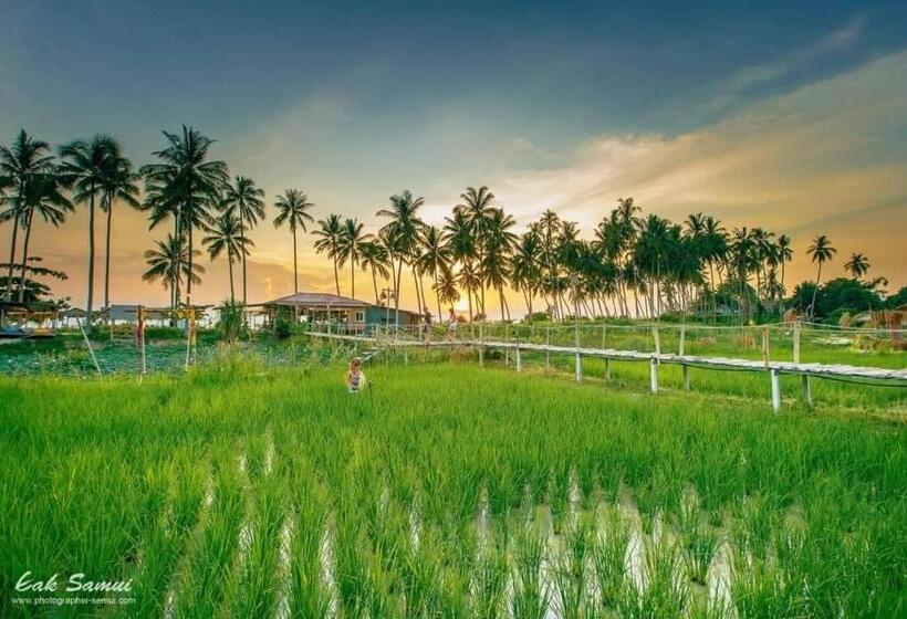 Resort I   Talay Taling Ngam Samui   เขา ป่า นา เล ตลิ่งงาม สมุย