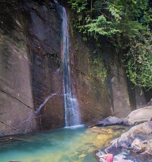 אתר נופש Jungle River