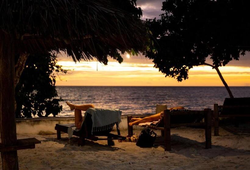 منتجع Pemba Paradise