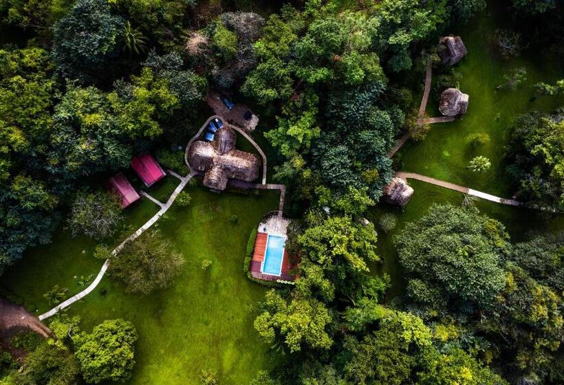 אתר נופש Tanager Rainforest Lodge