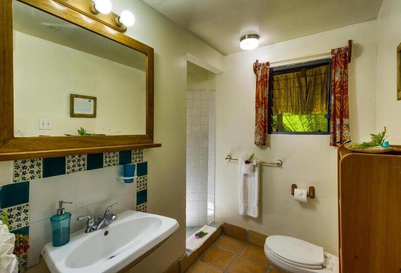 אתר נופש Tanager Rainforest Lodge