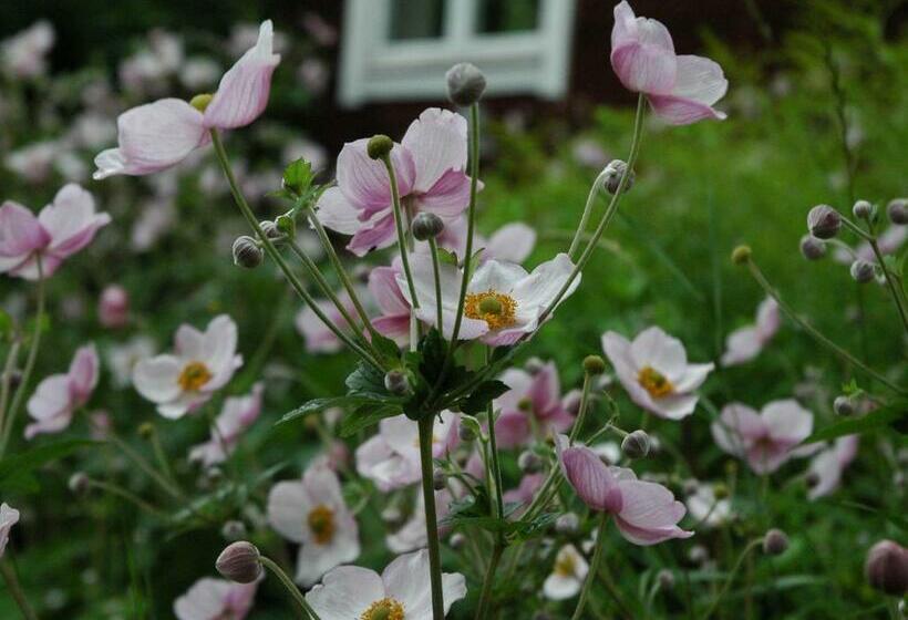 Wiborggården Bed And Breakfast