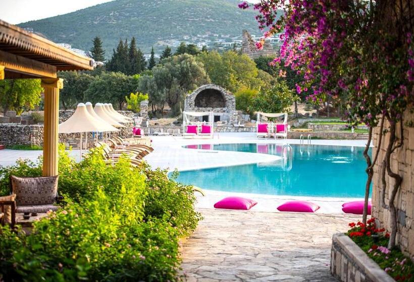 فندق Museum Resort Spa