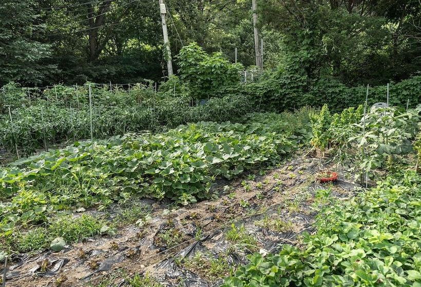 مُتل Pocheon  Kingdom