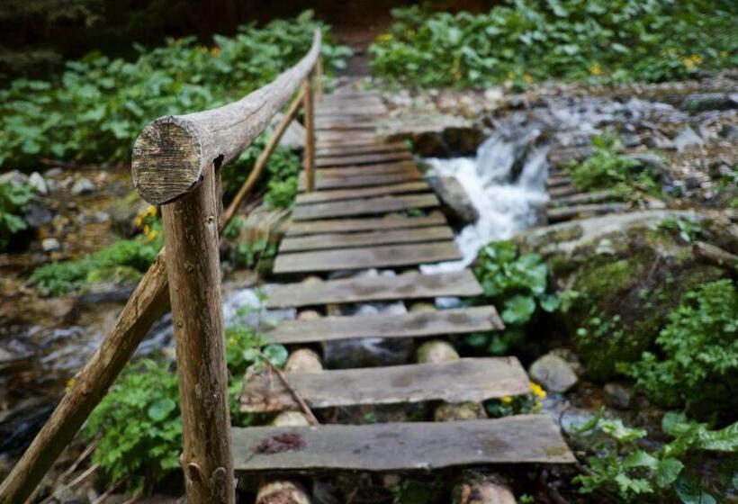 Общежитие Chata Magurka